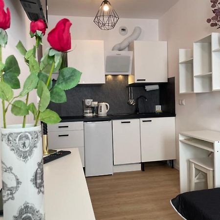 Apartament Wypoczynek Nowoczesna Malta Parking Goldair พอซนาน ภายนอก รูปภาพ