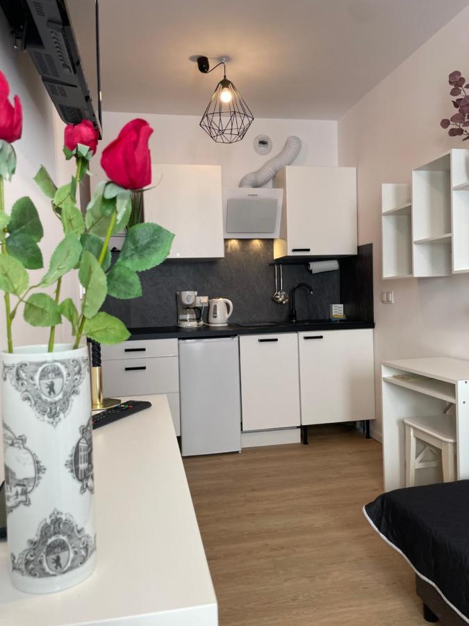 Apartament Wypoczynek Nowoczesna Malta Parking Goldair พอซนาน ภายนอก รูปภาพ